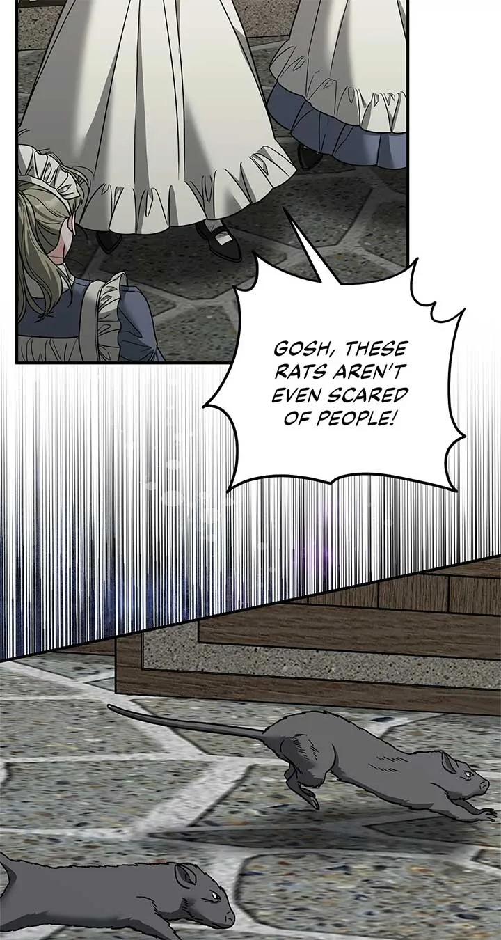 I Won’t Go Back to My Family Who Abandoned Me Chapter 76 page 76