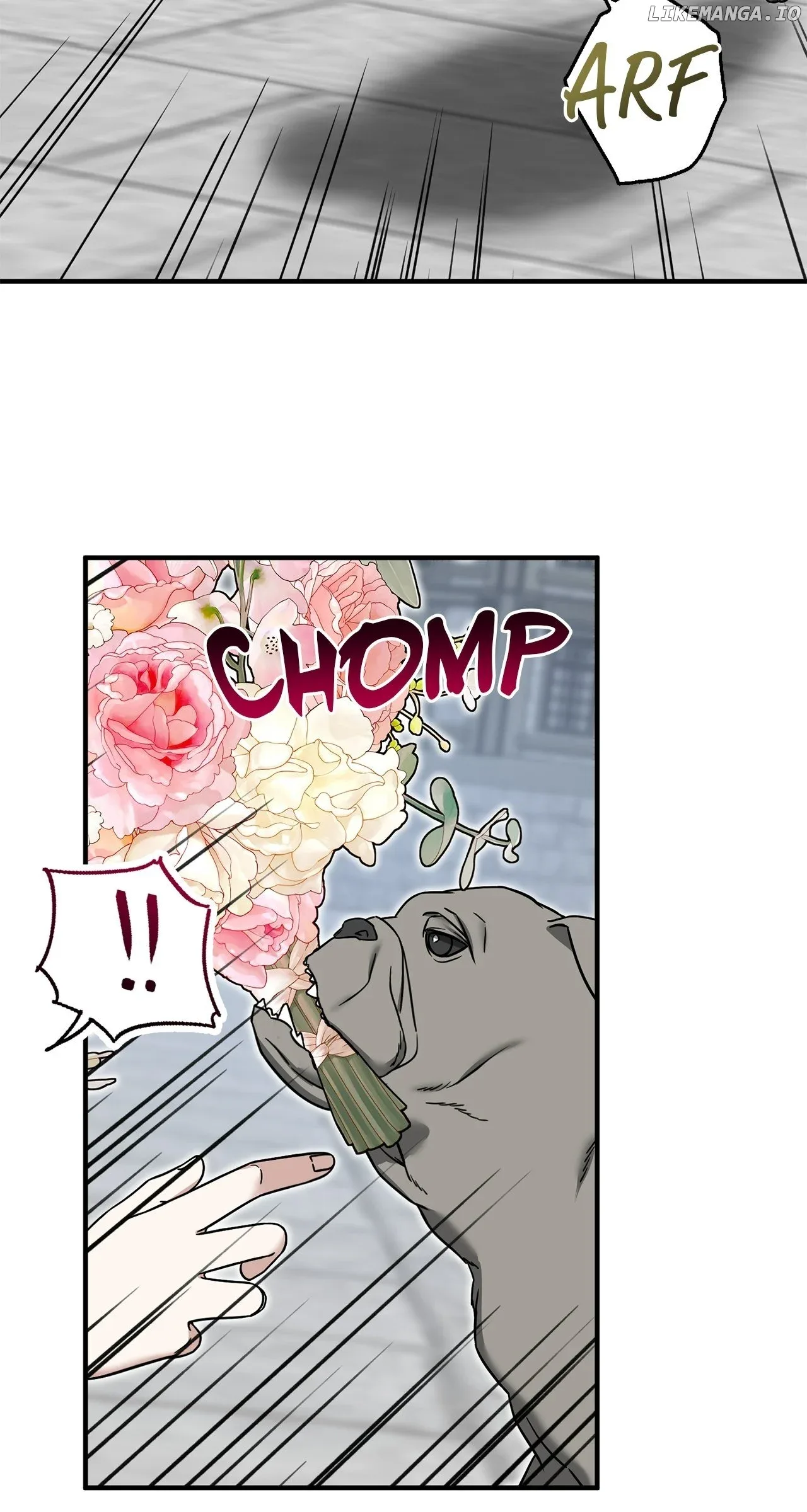 I Won’t Go Back to My Family Who Abandoned Me Chapter 80 page 51