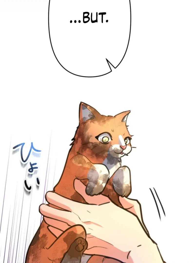 I’ll Borrow Your Face Chapter 24 page 31
