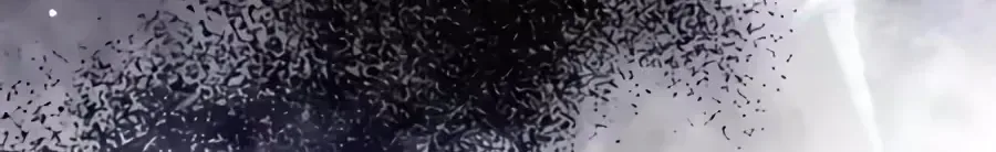 I’ll Start by Changing My Husband Through a Plunder Marriage Chapter 41 page 238