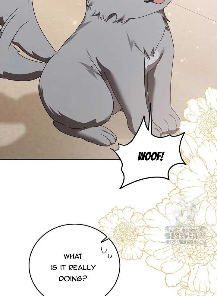 I’ll Take On This Marriage In This Life Chapter 13 page 96
