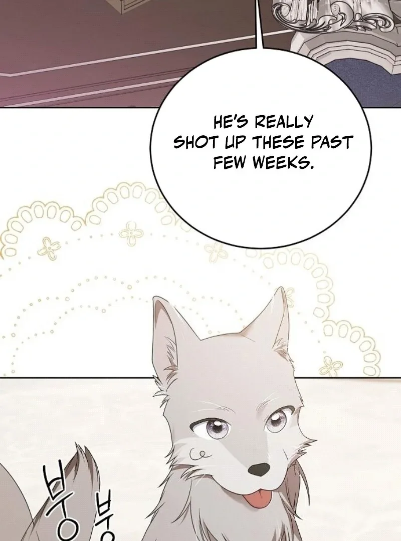 I’ll Take On This Marriage In This Life Chapter 44 page 118