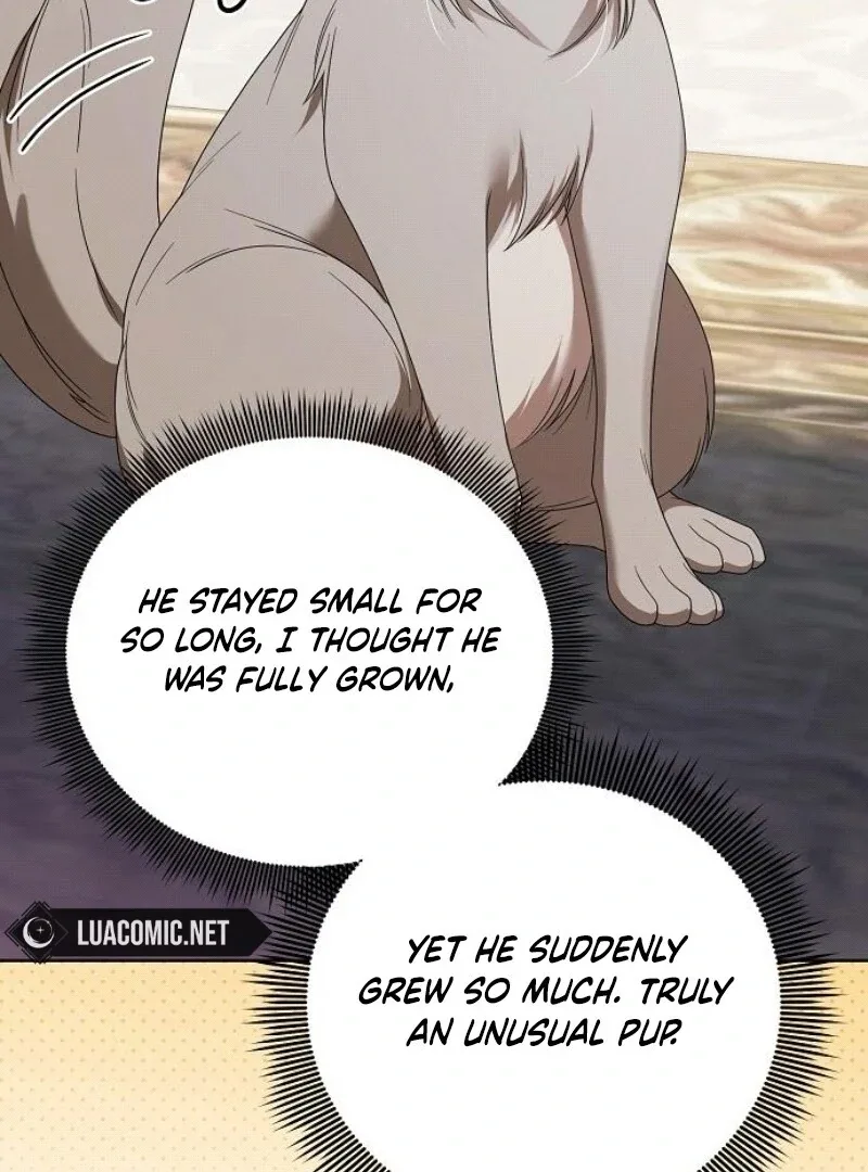 I’ll Take On This Marriage In This Life Chapter 44 page 119