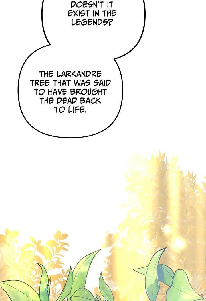 I’m a Doll, but the Tyrant Is Obsessed With Me Chapter 48 page 62