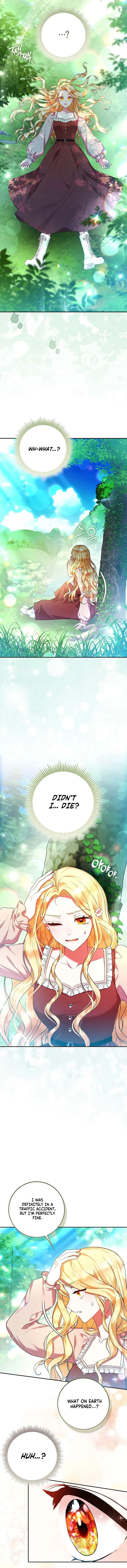I’m a Fairy, Not a Saintess Chapter 1 page 9