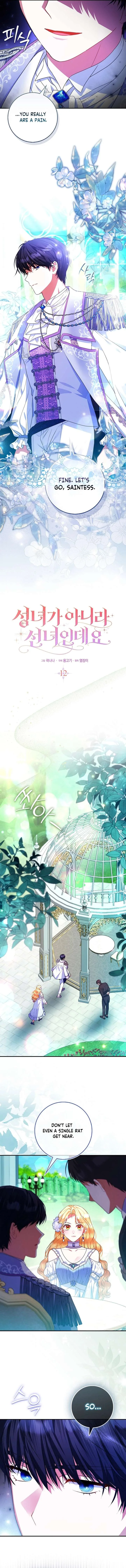 I’m a Fairy, Not a Saintess Chapter 12 page 7