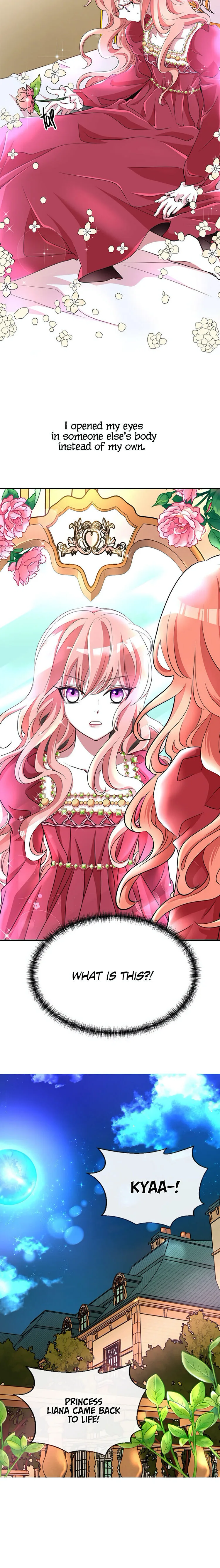 I’m a Killer but I’m Thinking of Living as a Princess Chapter 1 page 17