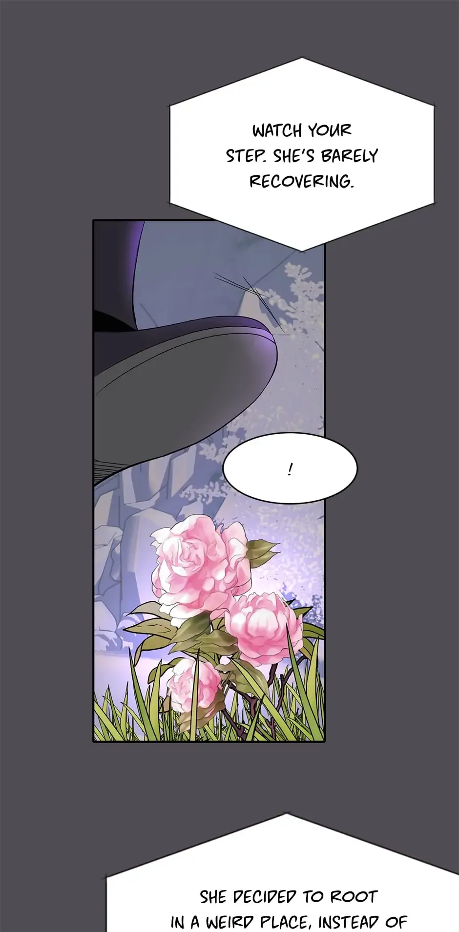 I’m a Killer but I’m Thinking of Living as a Princess Chapter 44 page 51