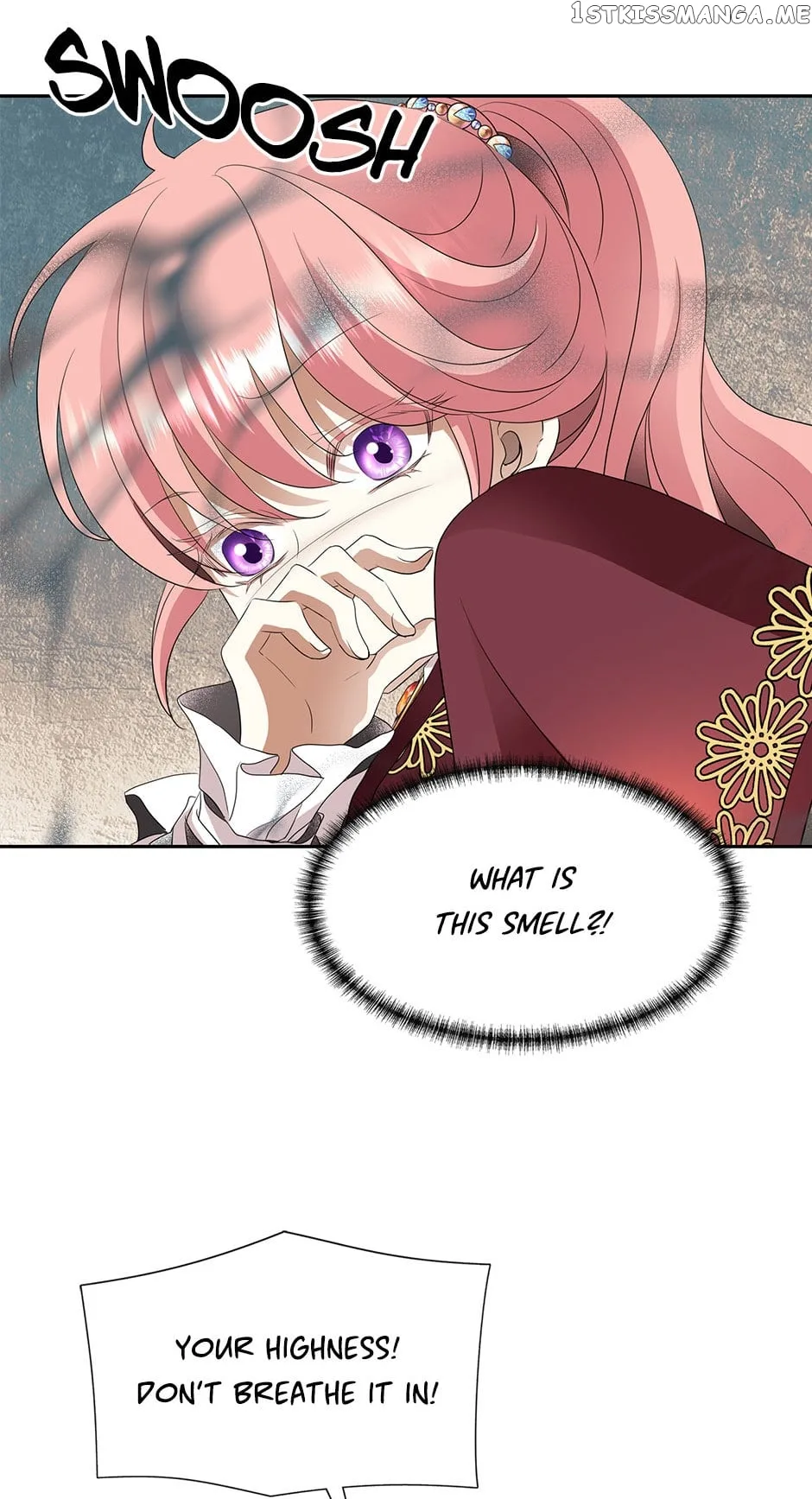I’m a Killer but I’m Thinking of Living as a Princess Chapter 62 page 43
