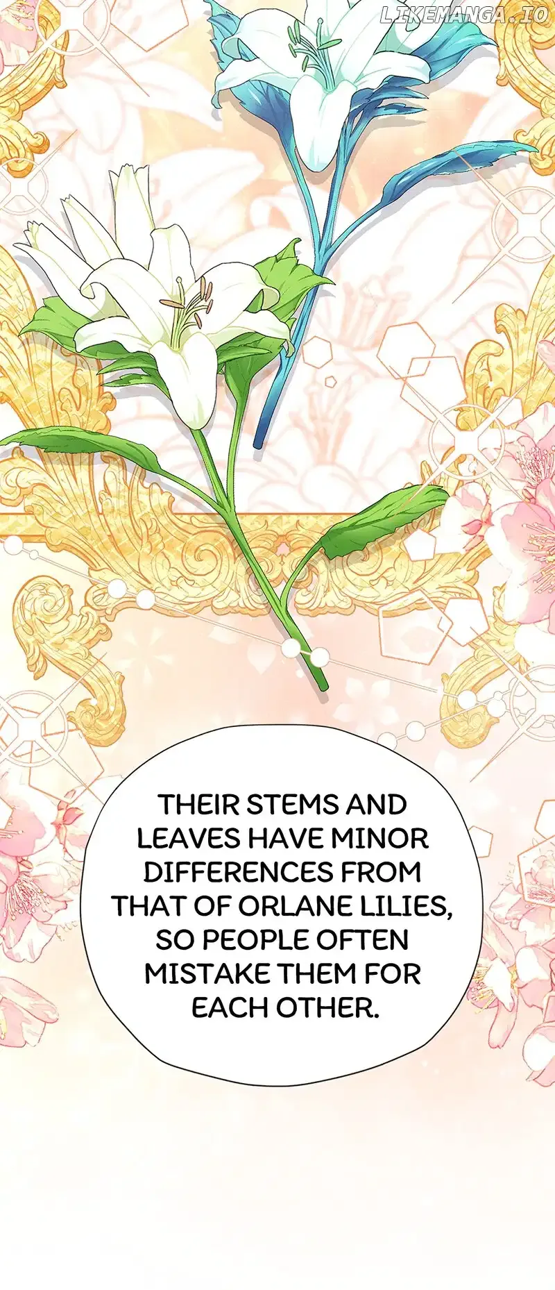 I’m in Love with My Foe Chapter 81 page 10