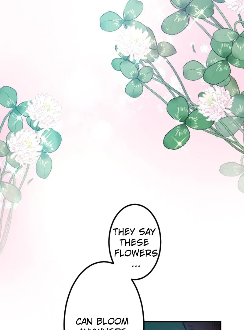 I’m Pregnant, But I Won’t Marry Without Love Chapter 10 page 81