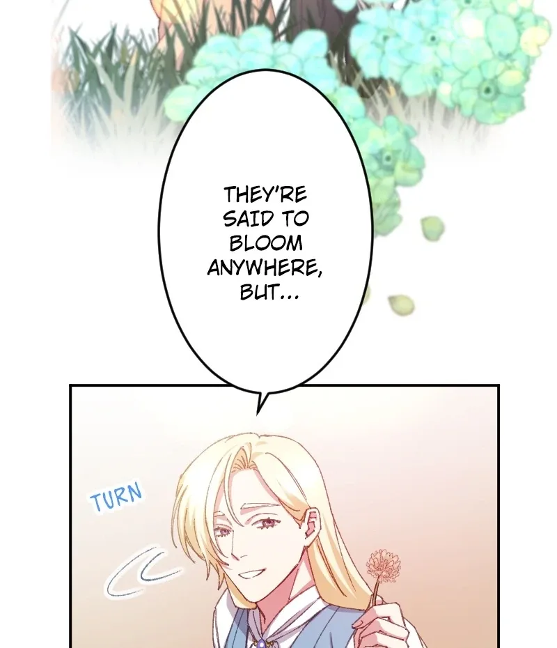 I’m Pregnant, But I Won’t Marry Without Love Chapter 15 page 60