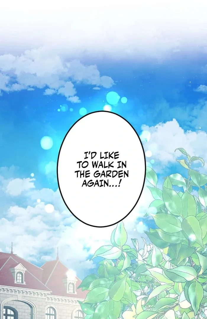 I’m Pregnant, But I Won’t Marry Without Love Chapter 46 page 85