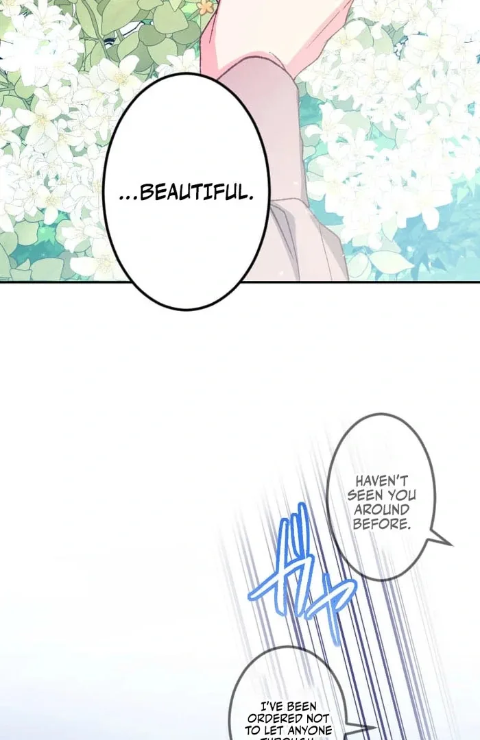 I’m Pregnant, But I Won’t Marry Without Love Chapter 47 page 6