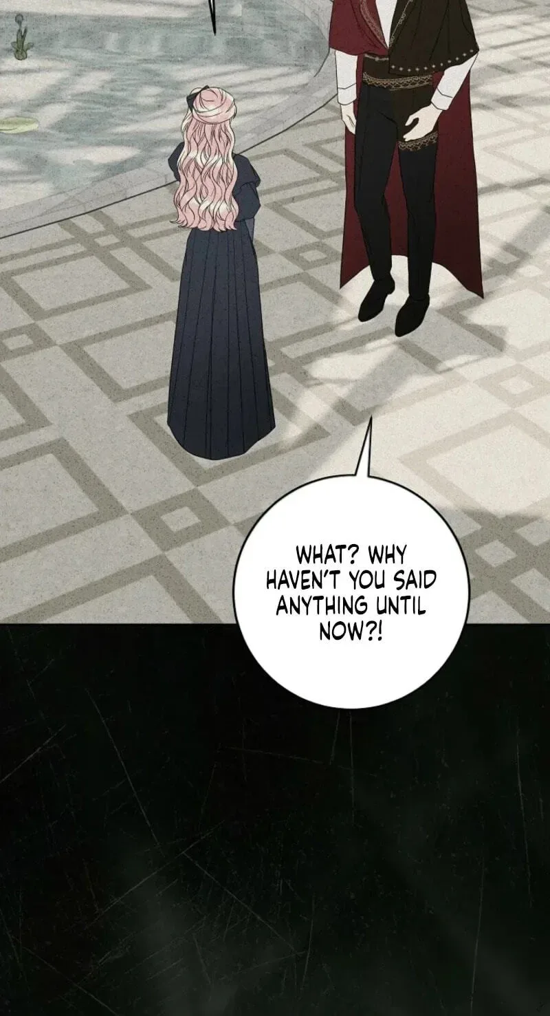 I’m Ready for Divorce! Chapter 66 page 81