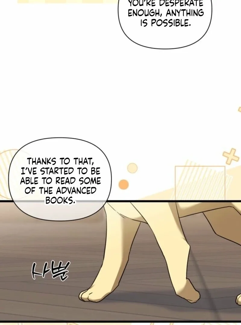I’m Repaying The Kindness That Raised Me With Obsession Chapter 47 page 60