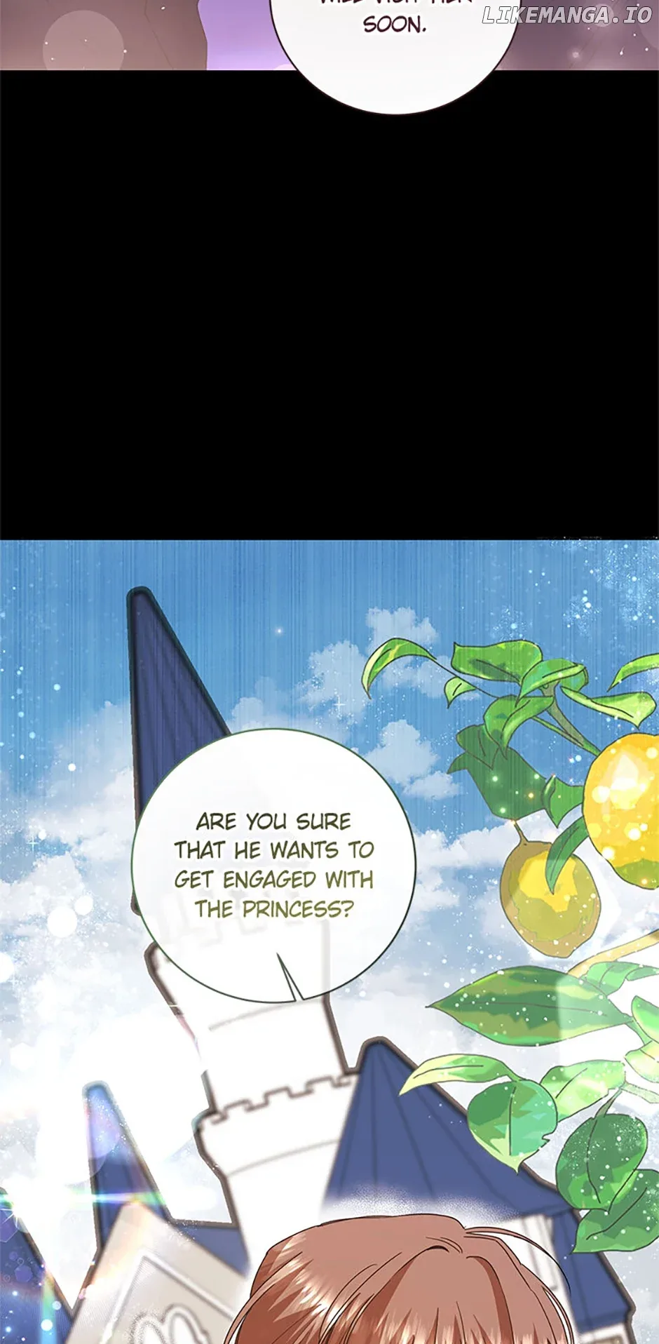 I’m Sorry for Being an Unqualified Empress Chapter 64 page 13