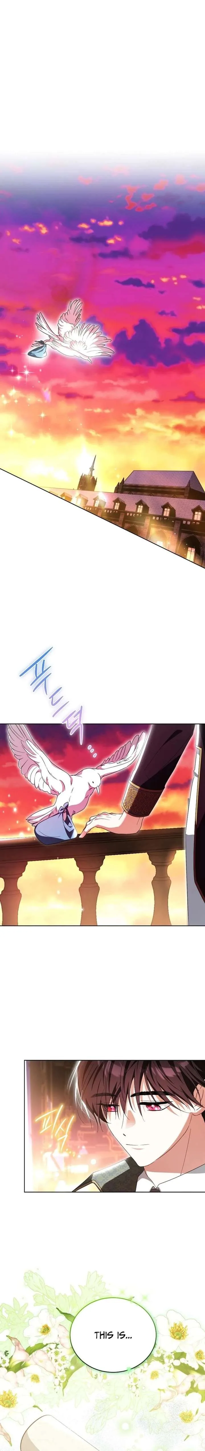 I’m the Knight Commander of the Second Male Lead Chapter 28 page 24