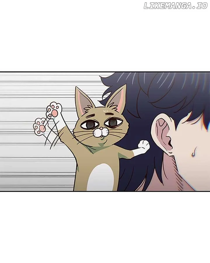 I’m the Only One Bullied by the New High School Student Chapter 36 page 156