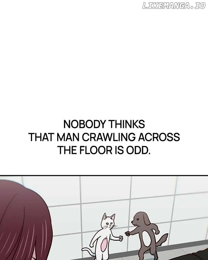 I’m the Only One Bullied by the New High School Student Chapter 36 page 147