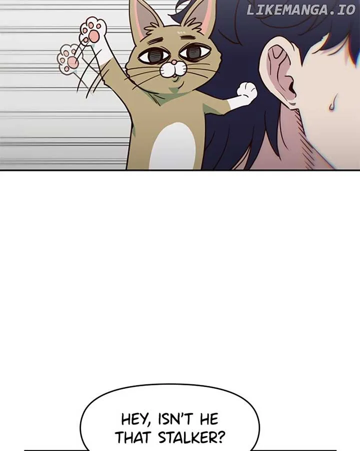 I’m the Only One Bullied by the New High School Student Chapter 37 page 5