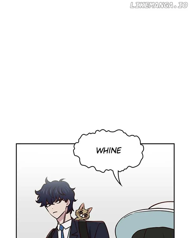 I’m the Only One Bullied by the New High School Student Chapter 37 page 16