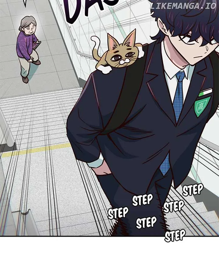 I’m the Only One Bullied by the New High School Student Chapter 37 page 14