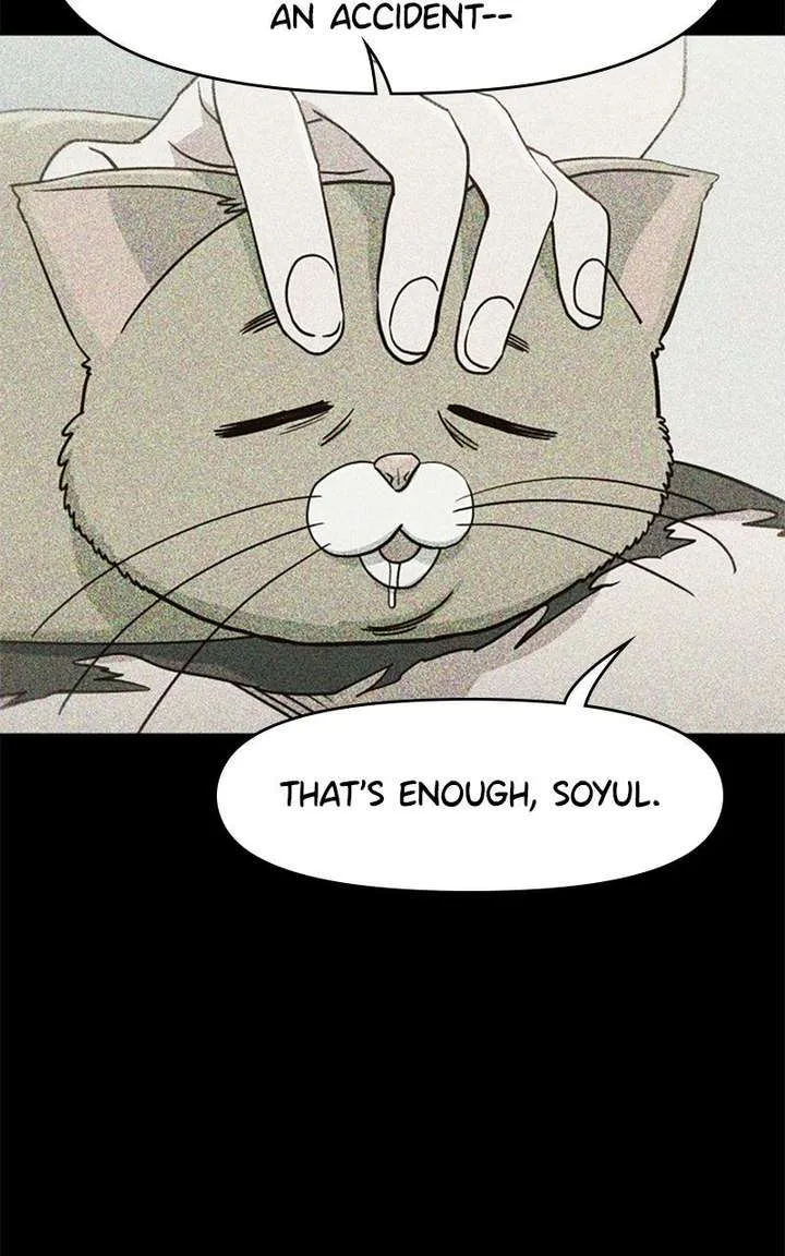 I’m the Only One Bullied by the New High School Student Chapter 81 page 12