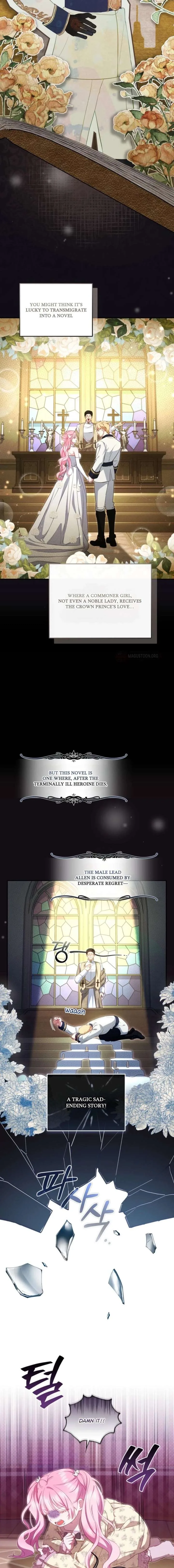 I’m the Only One Who Doesn’t Know the Villainess Is a Man Chapter 1 page 12