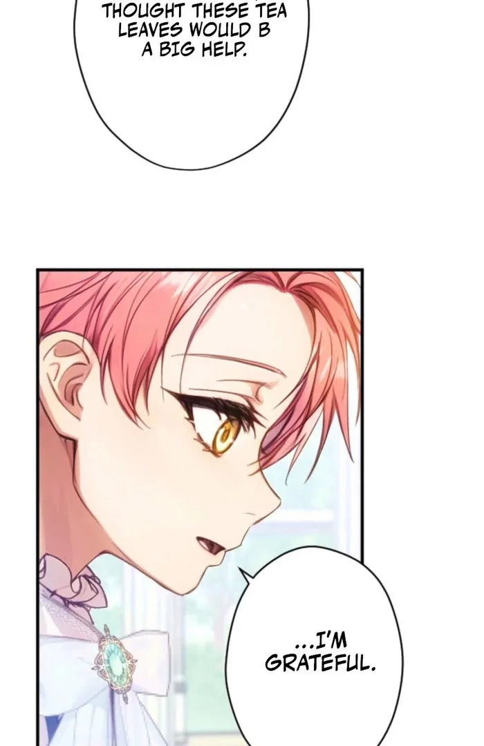 I’m The Tyrant Family’s Beloved Baby Chapter 20 page 63
