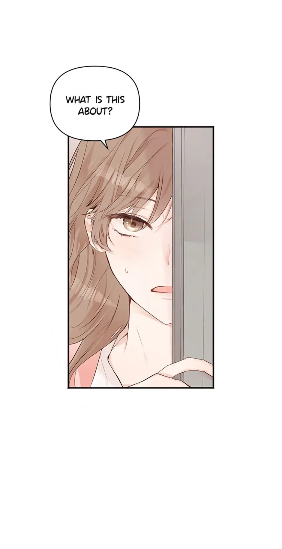 Ideal Match Delivery Service Chapter 0 page 27