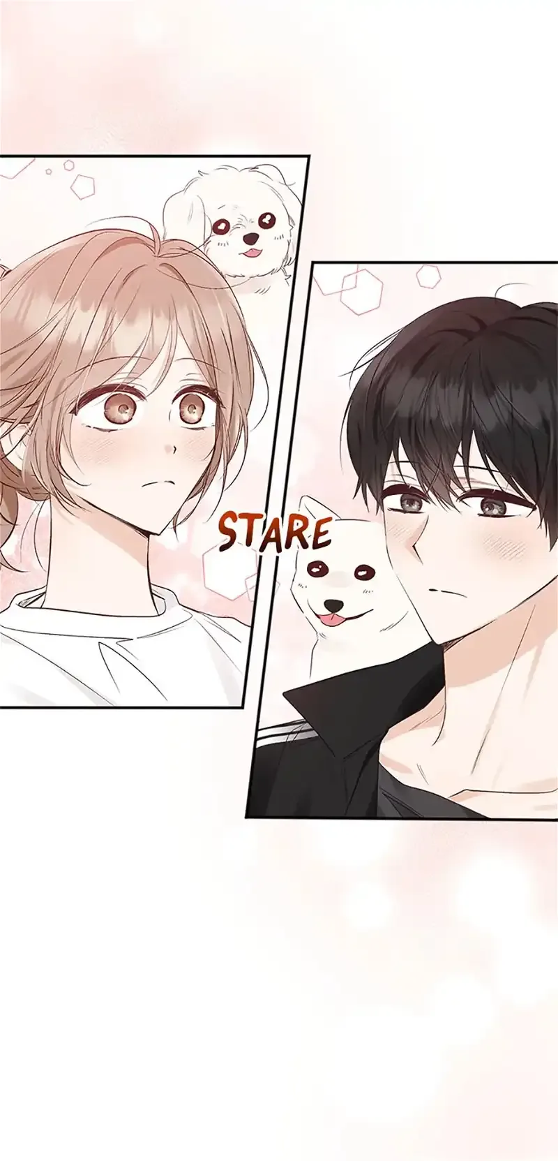 Ideal Match Delivery Service Chapter 36 page 43