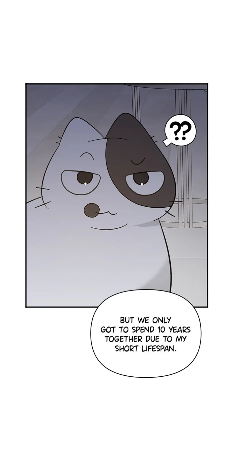 Ideal Match Delivery Service Chapter 71 page 19