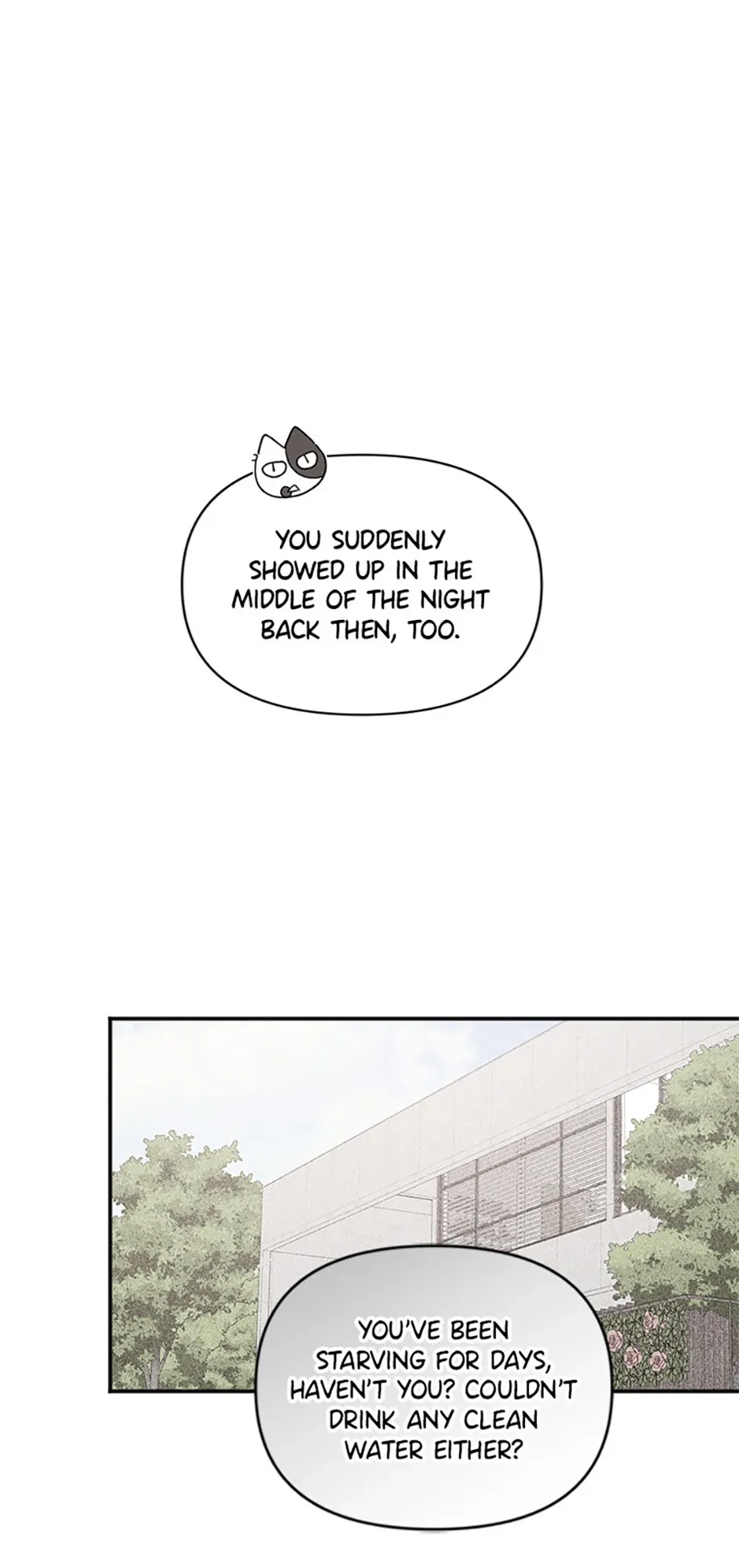 Ideal Match Delivery Service Chapter 71 page 11