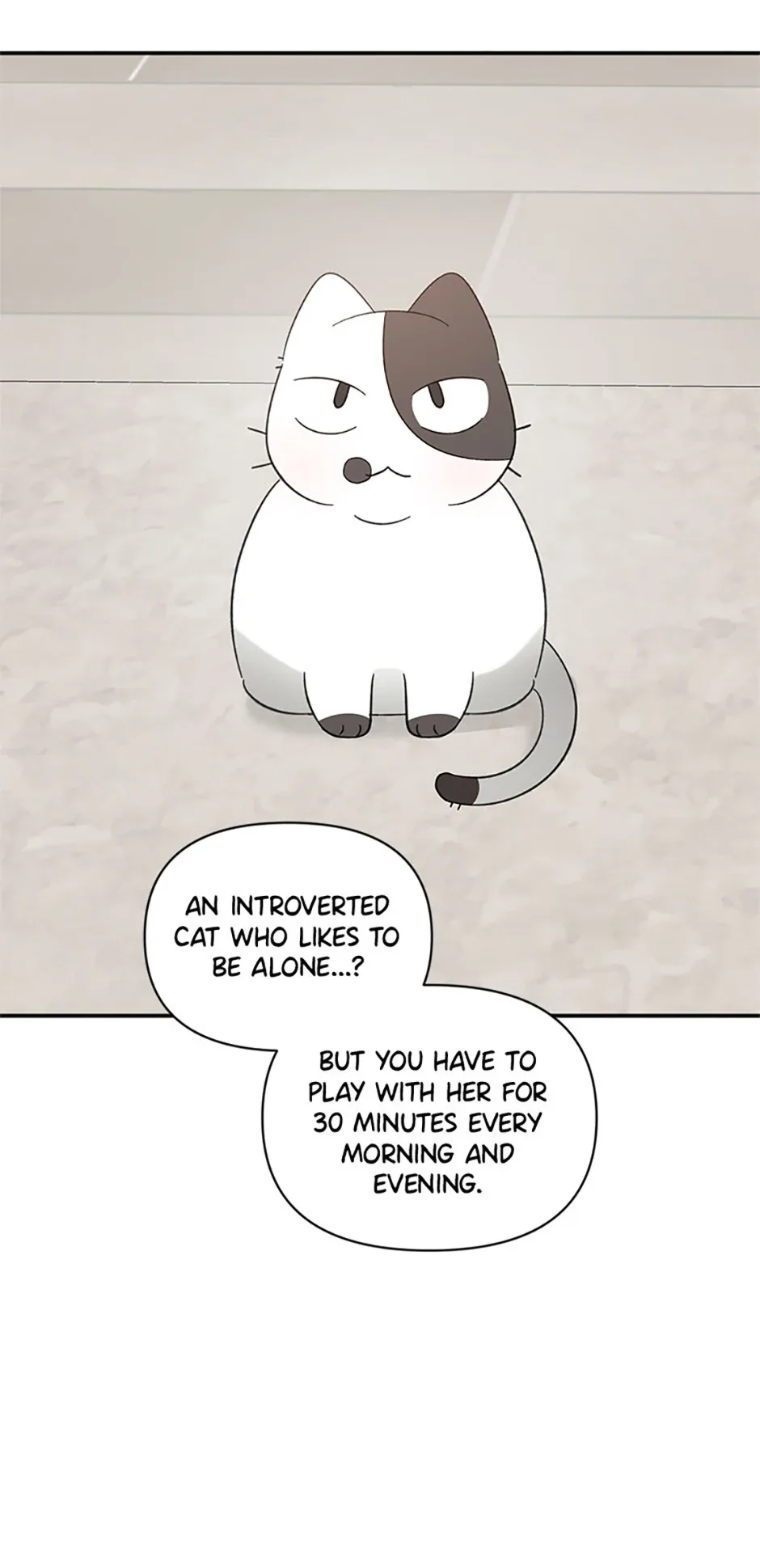 Ideal Match Delivery Service Chapter 71 page 61