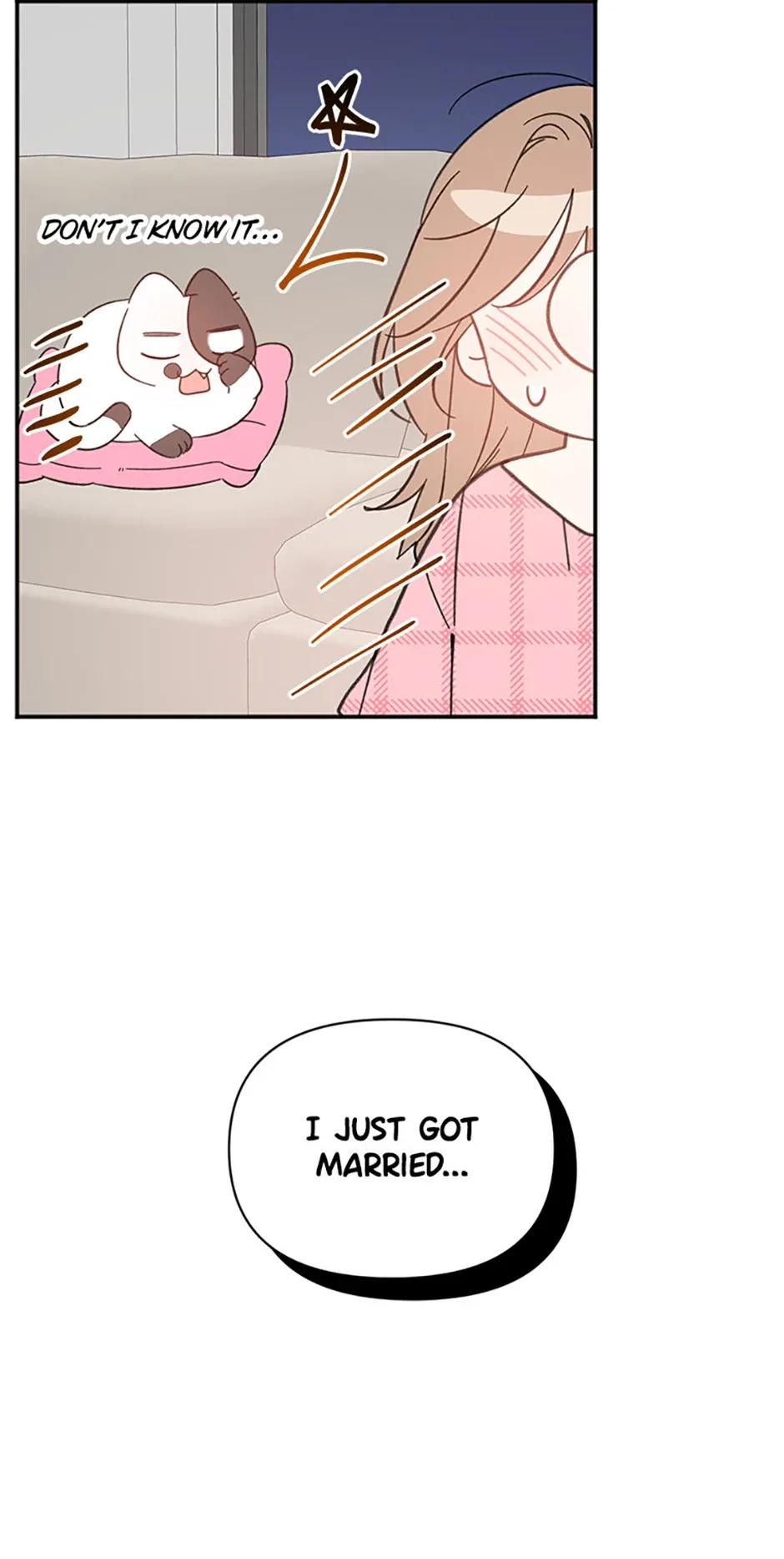 Ideal Match Delivery Service Chapter 72 page 68