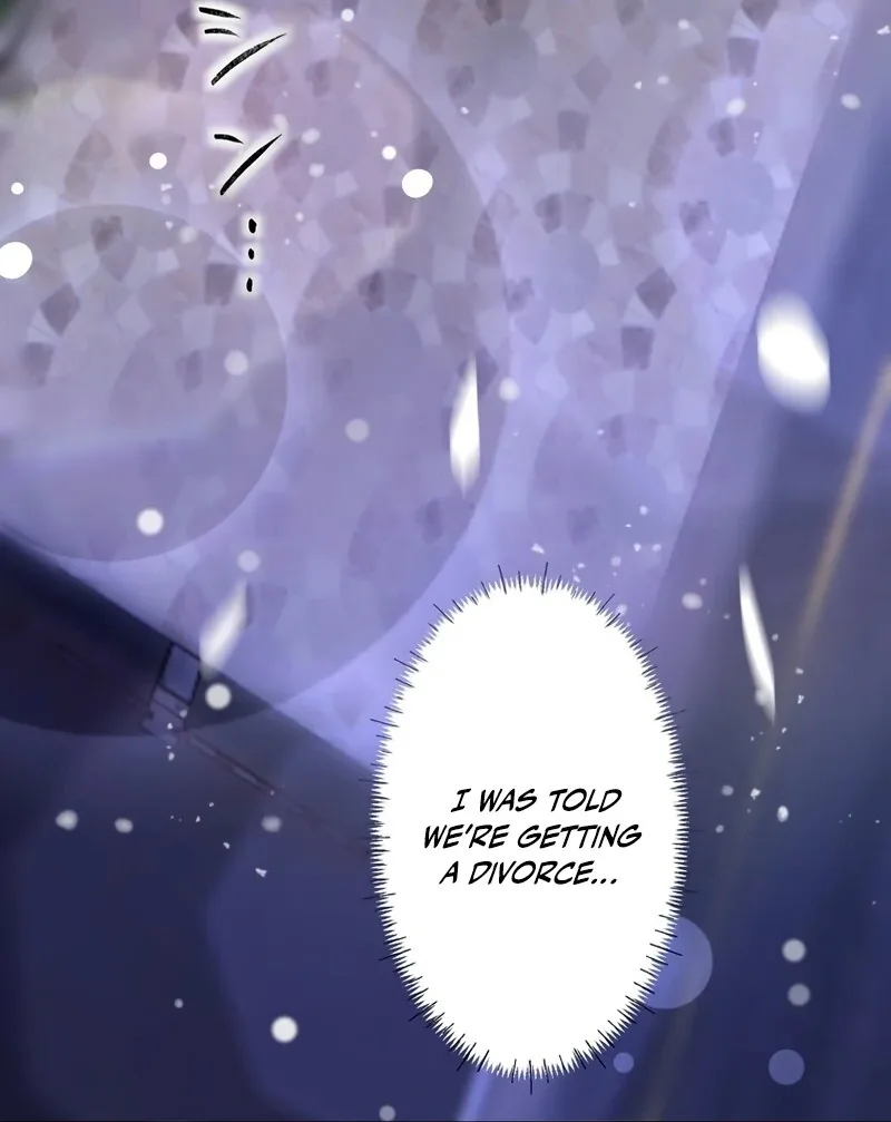 If a Second Marriage Can Save You Chapter 2 page 58