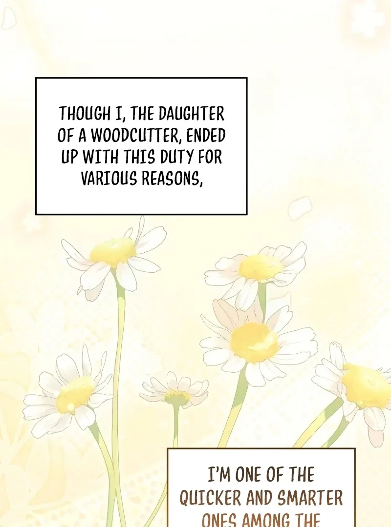 If You Want a Cheeky Sorceress Chapter 7 page 61
