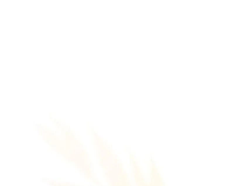 If You Want a Cheeky Sorceress Chapter 18 page 146