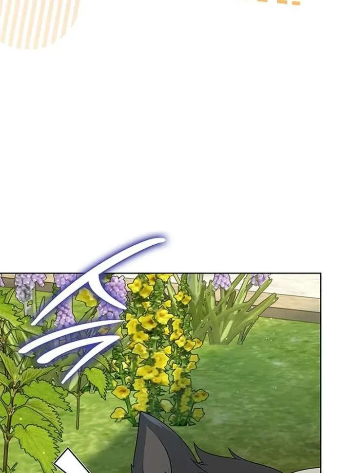 If You Want a Cheeky Sorceress Chapter 28 page 152