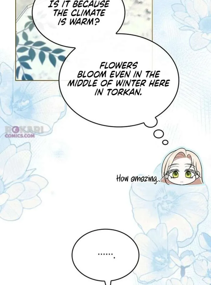 If You Want a Cheeky Sorceress Chapter 28 page 77