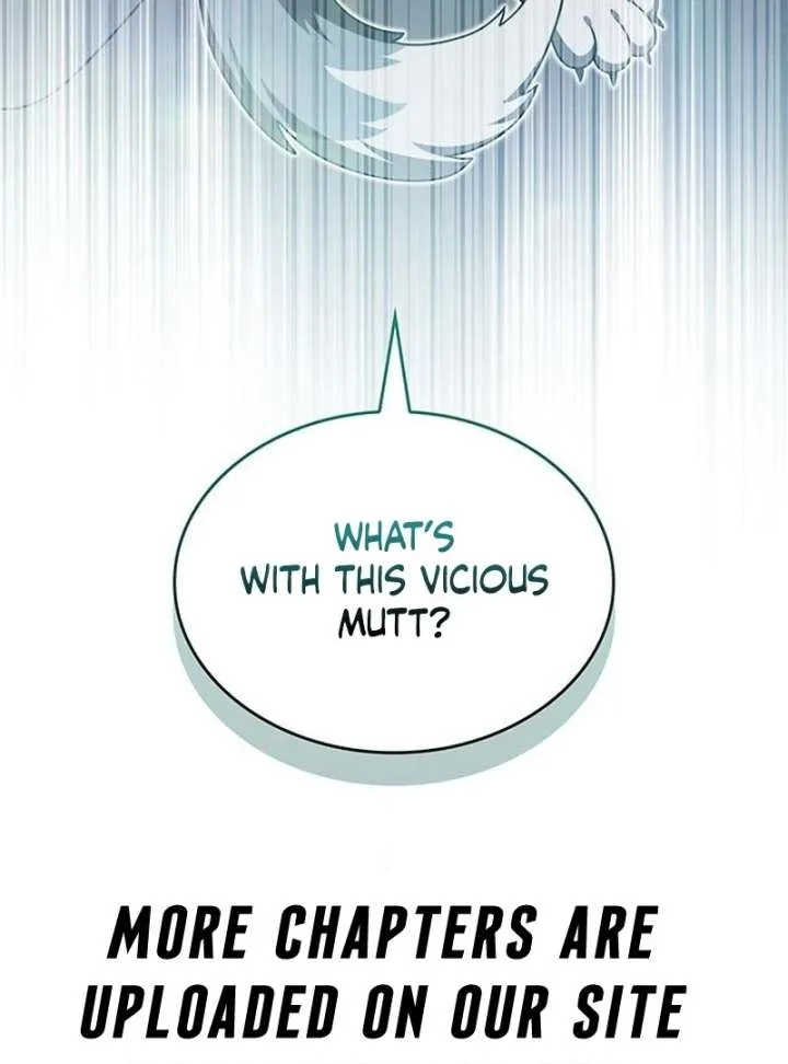 If You Want a Cheeky Sorceress Chapter 26 page 211