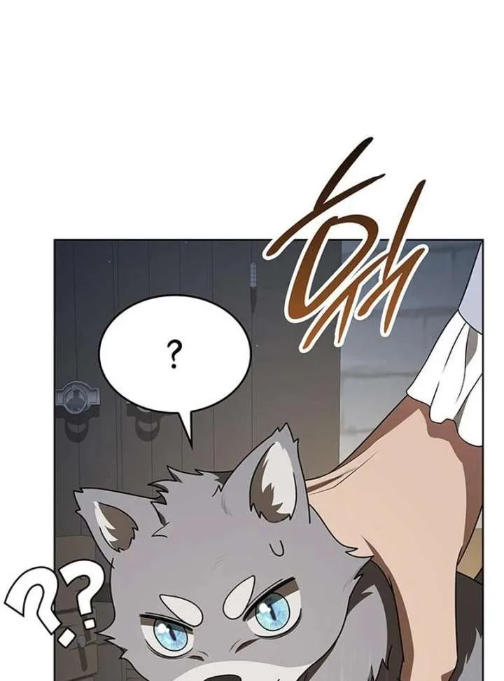If You Want a Cheeky Sorceress Chapter 26 page 206