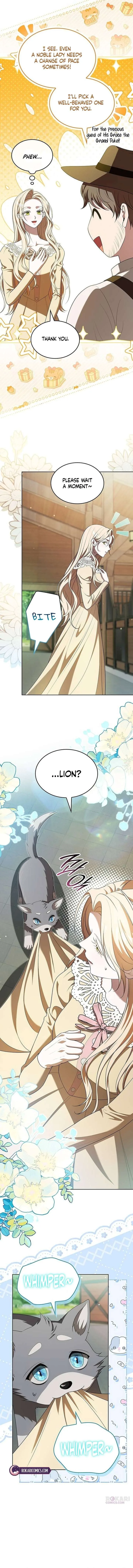 If You Want a Cheeky Sorceress Chapter 35 page 19