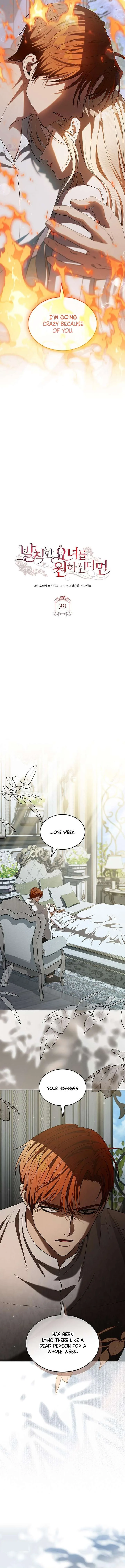 If You Want a Cheeky Sorceress Chapter 39 page 5