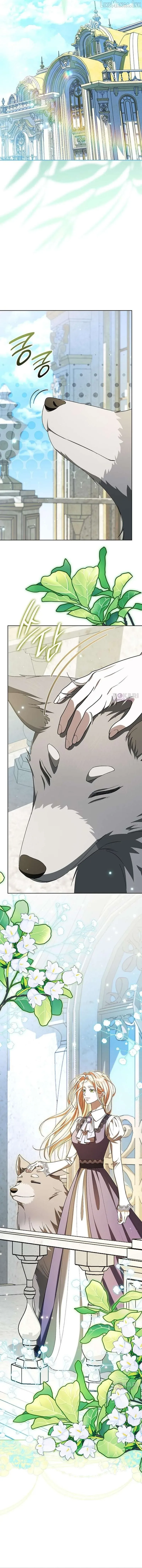 If You Want a Cheeky Sorceress Chapter 52 page 15