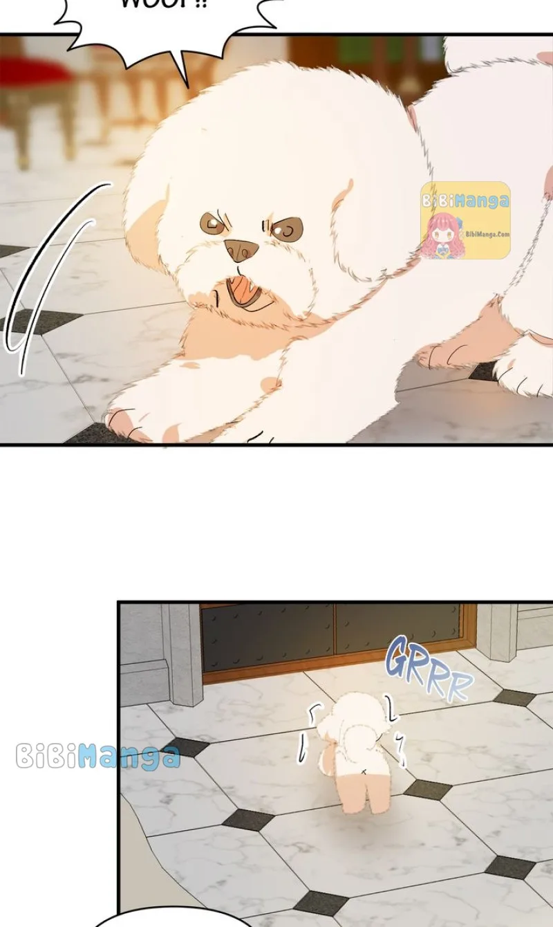 If You Want a Fake Sister Chapter 22 page 25