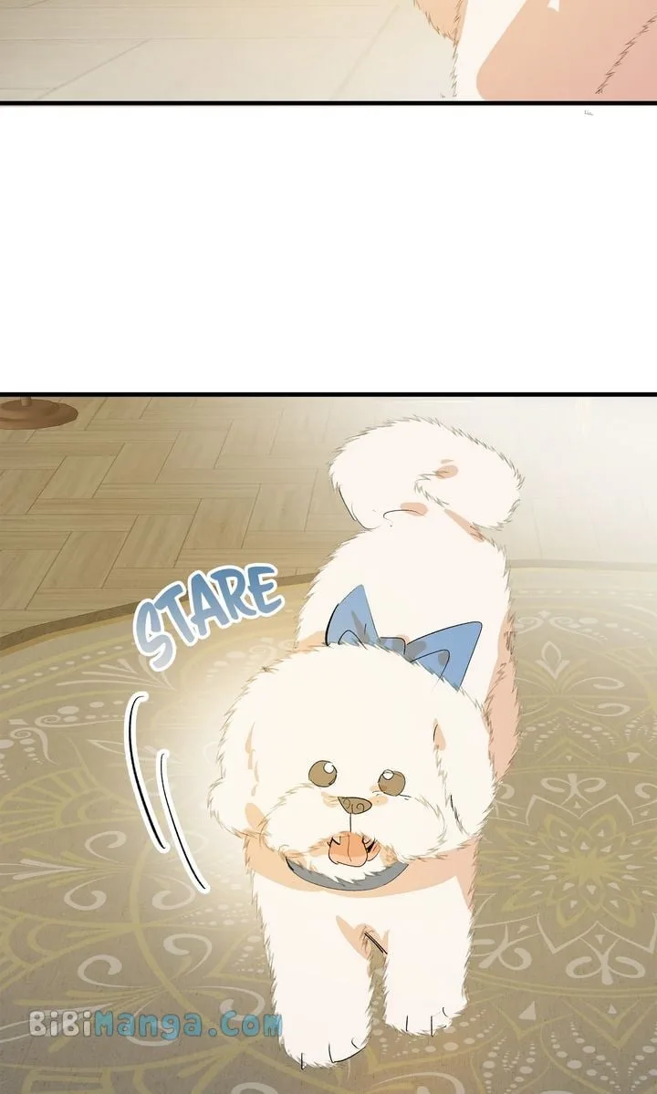 If You Want a Fake Sister Chapter 29 page 35