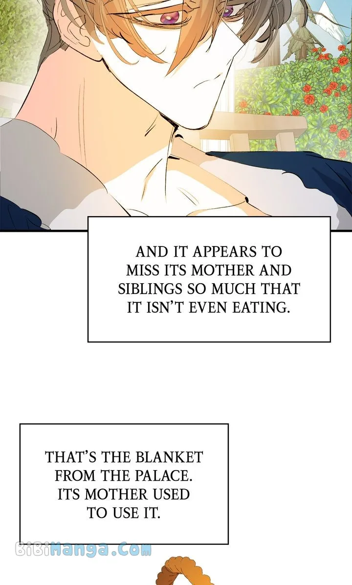 If You Want a Fake Sister Chapter 31 page 24