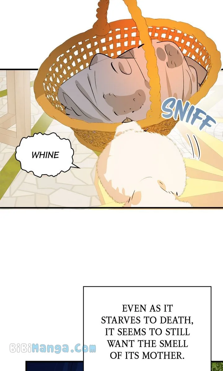 If You Want a Fake Sister Chapter 31 page 25